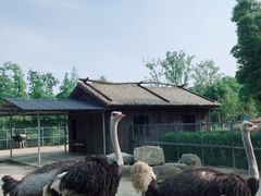 -上方山森林动物世界
