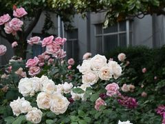 -山东师范大学(千佛山校区)