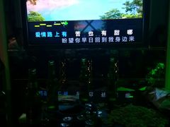 -金麦圣KTV