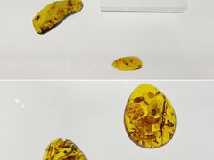 -广东省博物馆