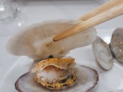 -一口猪海鲜浑锅·东北家常菜