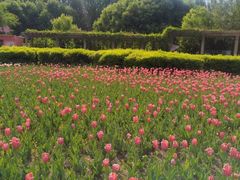 -长春公园(普阳街道)