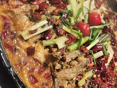 -老板恋上鱼(恒隆广场店)