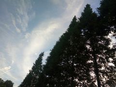 -艾溪湖湿地公园