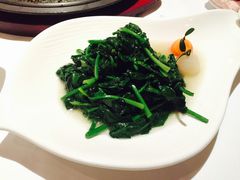 -西郊5号·Maggie 5