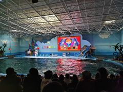 -蓬莱欧乐堡海洋极地世界