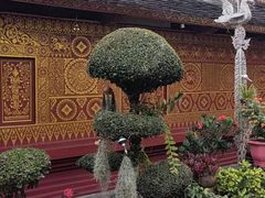 -西双版纳傣族园