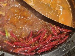 -蜀大侠火锅(总府路店)