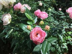 -人民公园(罗湖区)