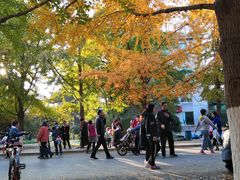 -辽宁大学(崇山校区)
