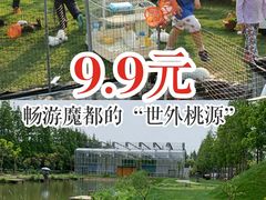 -前小桔亲子创意农场·草莓采摘·露营烧烤