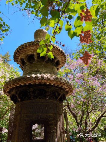 法源寺的丁香，曾经的京城四大花事之一