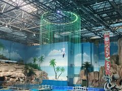 -华夏文旅海洋公园