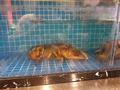 -庆合府重庆大排档(紫都城店)