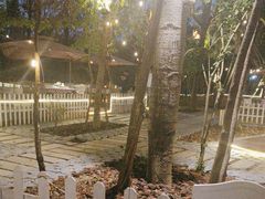 -陶缘一号·四季缘·老字号顺德菜·户外婚礼家宴(西滘店)