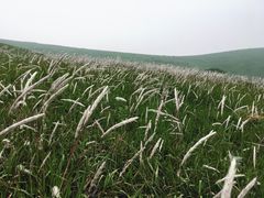 -恋山坝上草原