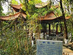 -昆明动物园