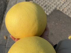 -杭州城北体育公园