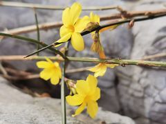 -月坛公园