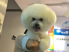 -PETKIT小佩宠物(古北店)