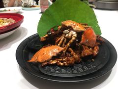 黑胡椒梭子蟹-好福记饭店(红梅公园店)
