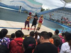 -北戴河圣蓝海洋公园