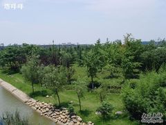 -南京奥林匹克体育中心-体育馆