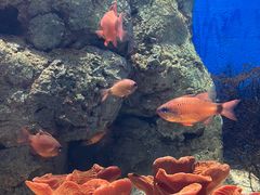 -福州罗源湾海洋世界旅游区