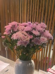 -花隐瑜伽·普拉提·红绳