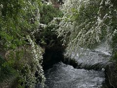 -中国茶叶博物馆(双峰馆区)