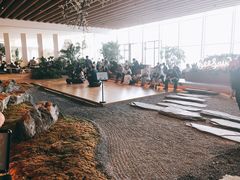 -Seesaw Coffee(朝阳大悦城店)