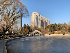-团结湖公园
