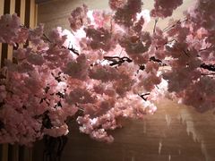 景观位-紫· 割烹  Kappo Murasaki