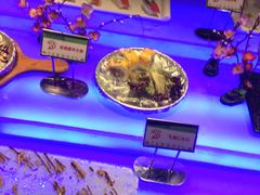 -亚马逊环球美食百汇(新城吾悦广场店)