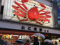 -蟹道乐(道顿堀本店)