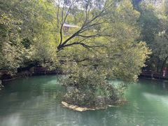 -抚仙湖禄充风景区