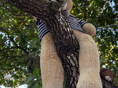 -三亚蜈支洲岛旅游区