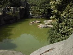 -南昌动物园