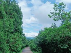 -北京西山国家森林公园