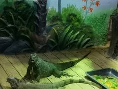 -石家庄市动物园