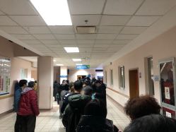 -上海交通大学医学院附属上海儿童医学中心(陆家嘴总院区)