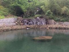 杭州临安静雅居休闲农家乐-杭州天目山静雅居农家乐