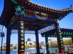 -莲花池公园