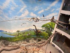 -辽宁古生物博物馆