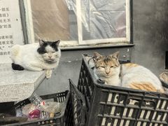 -沈阳百联购物中心(青年大街店)