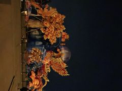 -桐乡凤凰湖