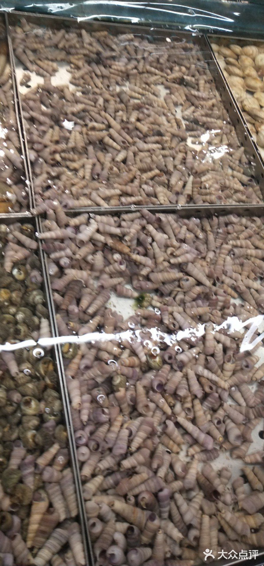 麻辣爽口无辣不欢经济实惠的辣炒钉螺