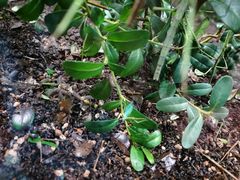 -上海昆虫博物馆