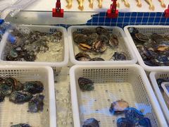 -海立阁海鲜江浙菜(漕河泾印象城店)