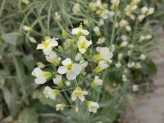 -中国天府农业博览园